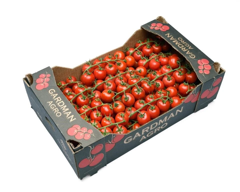 product card image